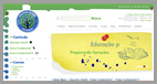 Col&eacute;gio, &Aacute;lamo, Educa&ccedil;&atilde;o Infantil, Ensino Fundamental, escola, valinhos, sao paulo, matricula