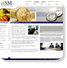 BSM Consulting