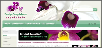 Darly Orqu&iacute;deas - Orqu&iacute;deas Campinas - Cursos e livros para cultivo e reprodu&ccedil;&atilde;o de Orqu&iacute;deas